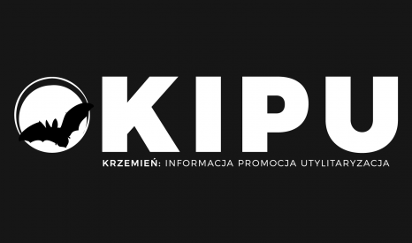 KIPU – styczeń 2021 | 1/2021
